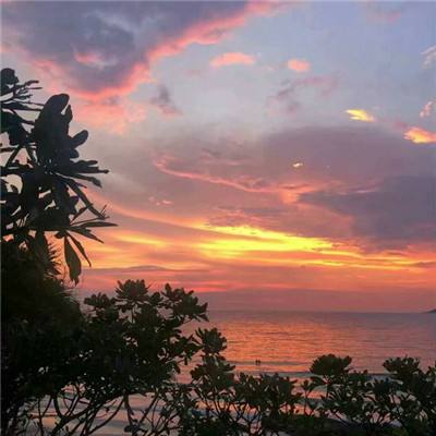 双人坦克大决战2